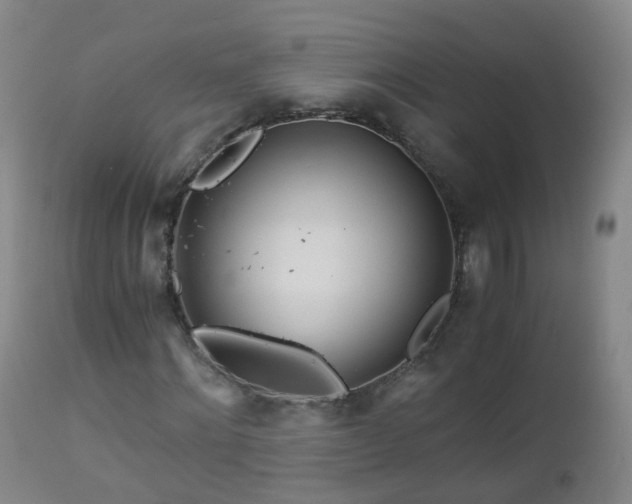 X0000112880868200908281635