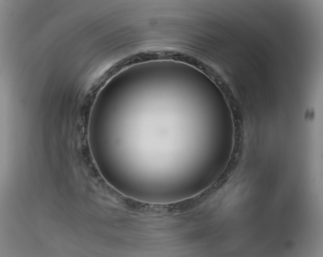 X0000112880871200908281635