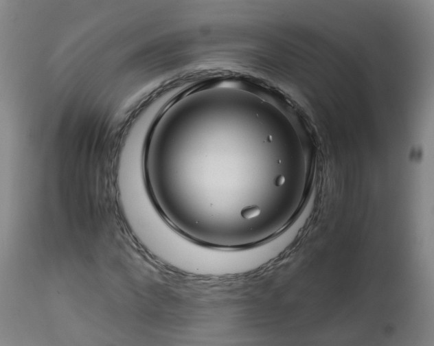 X0000112880872200908281635