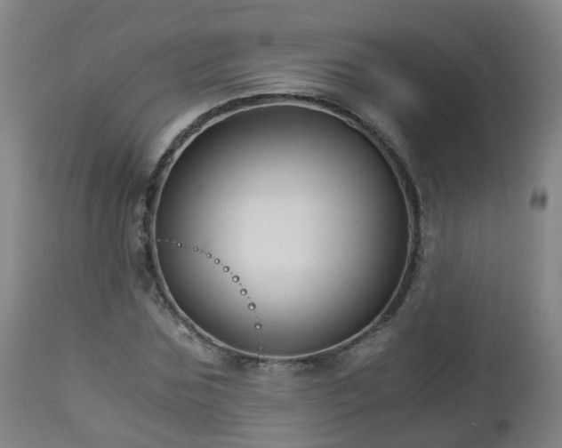 X0000112880875200908281635