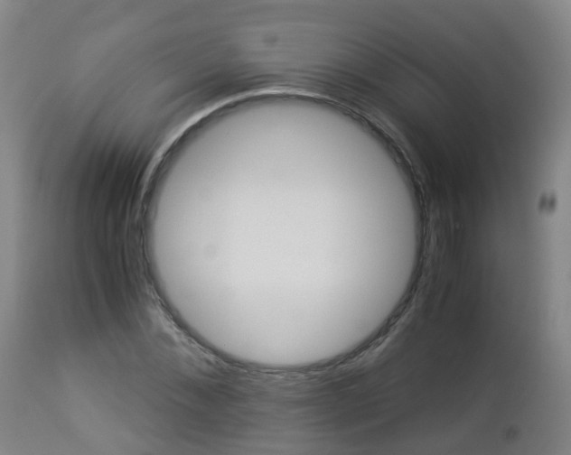 X0000112880876200908281635