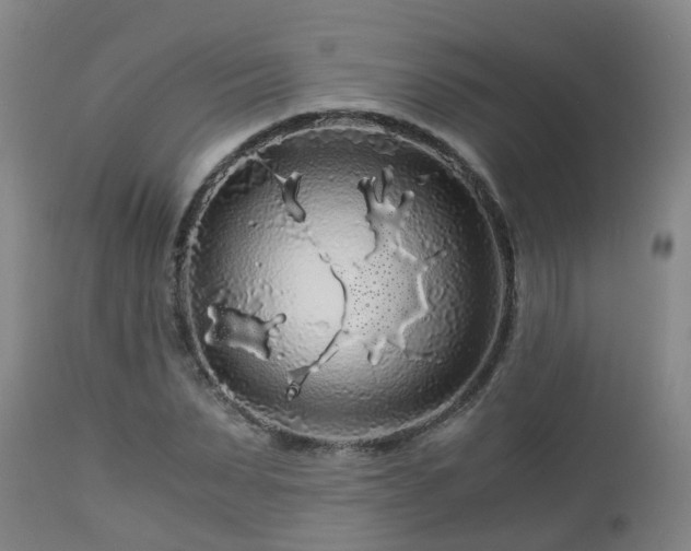 X0000112880879200908281635