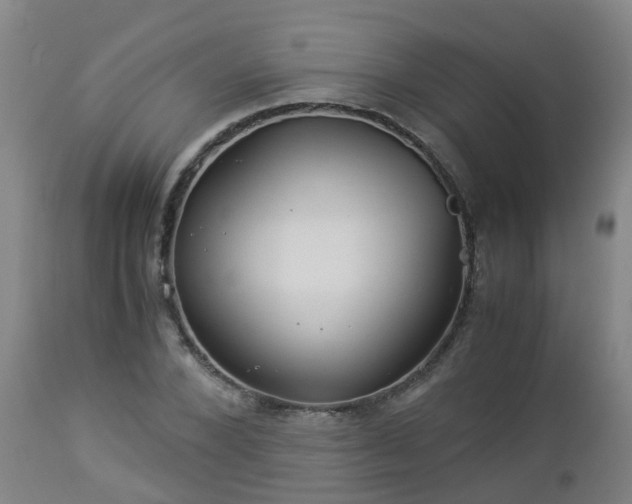 X0000112880880200908281635