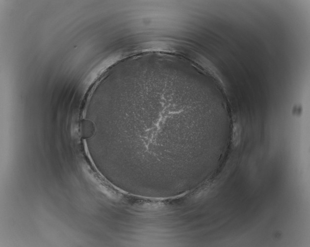 X0000112880882200908281635