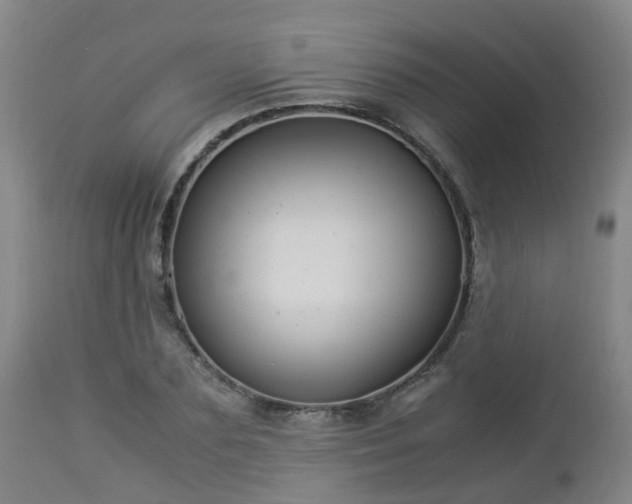 X0000112880883200908281635