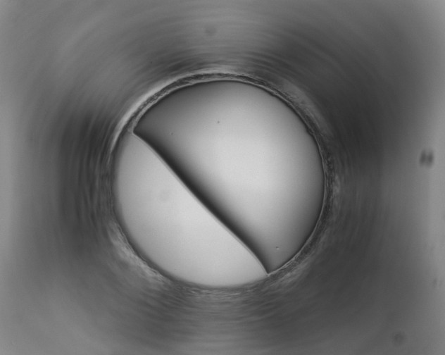 X0000112880884200908281635