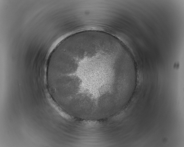 X0000112880886200908281635