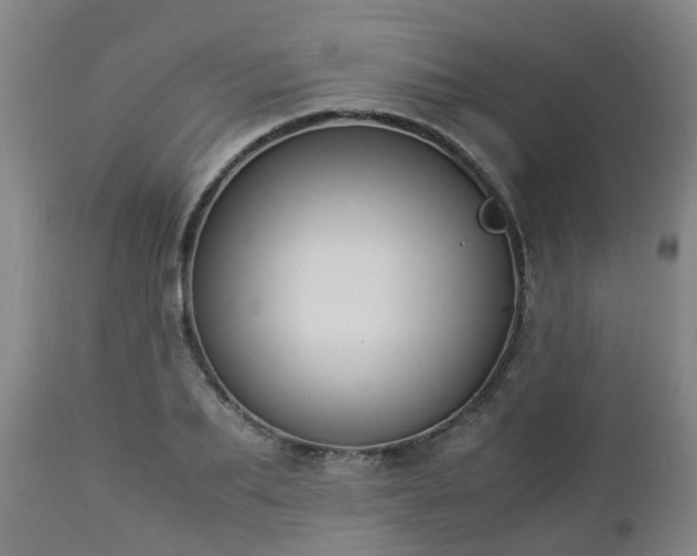 X0000112880887200908281635