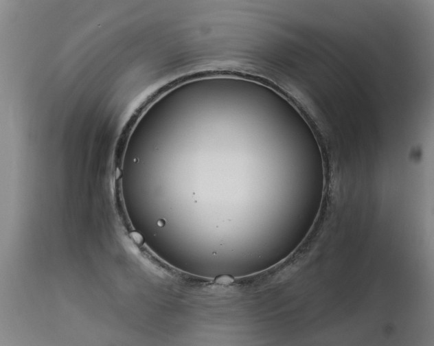 X0000112880888200908281635