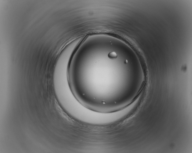 X0000112880889200908281635