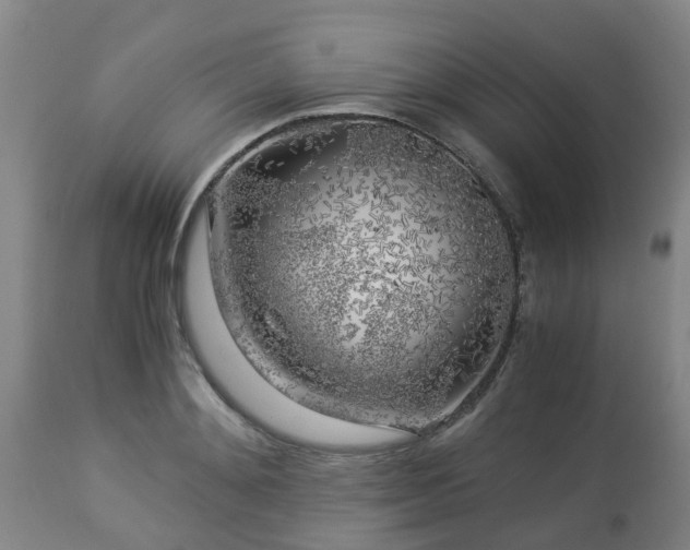 X0000112880892200908281635