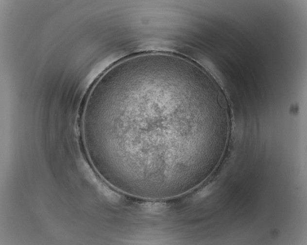 X0000112880893200908281635