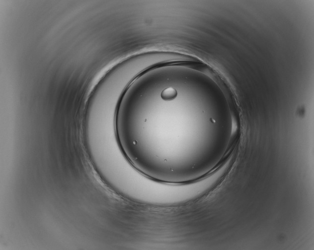 X0000112880896200908281635