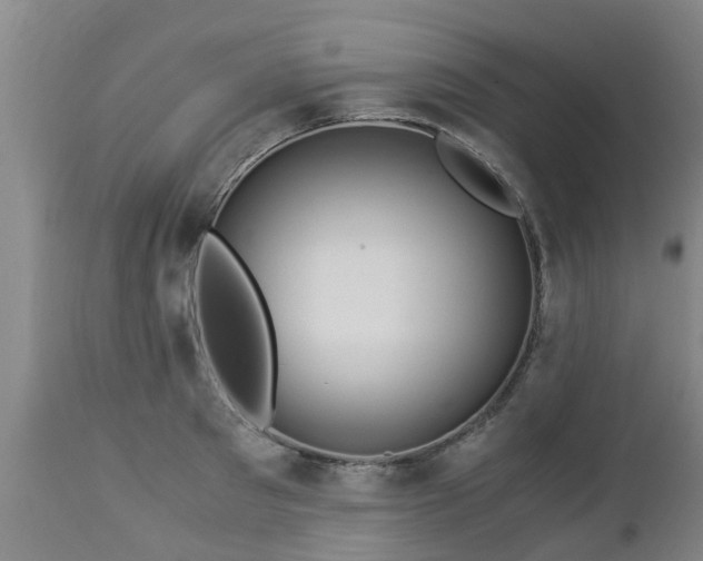 X0000112880897200908281634