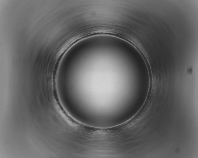 X0000112880898200908281634