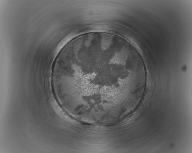 X0000112880899200908281634