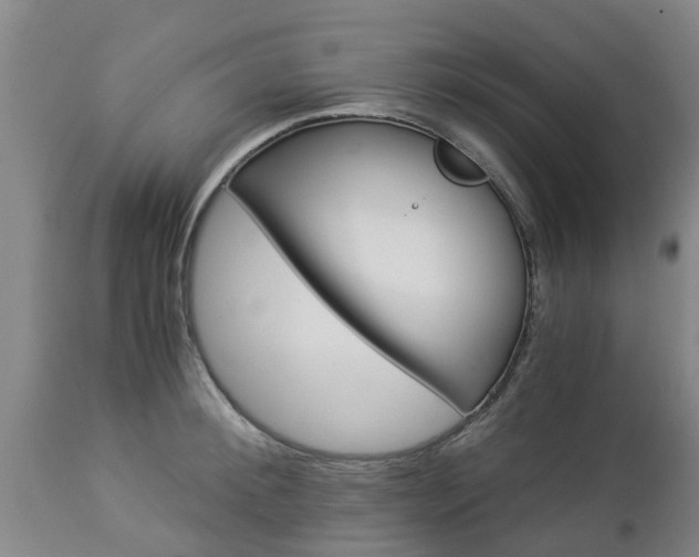 X0000112880900200908281634