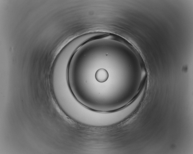 X0000112880901200908281634