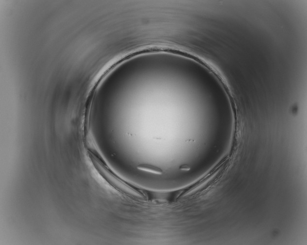 X0000112880903200908281634