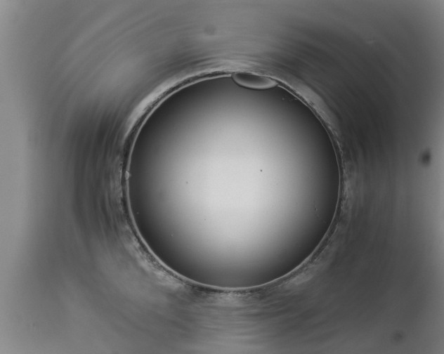 X0000112880904200908281634