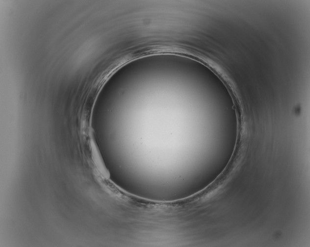 X0000112880905200908281634