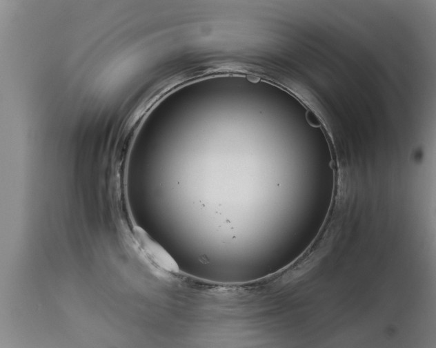 X0000112880906200908281634