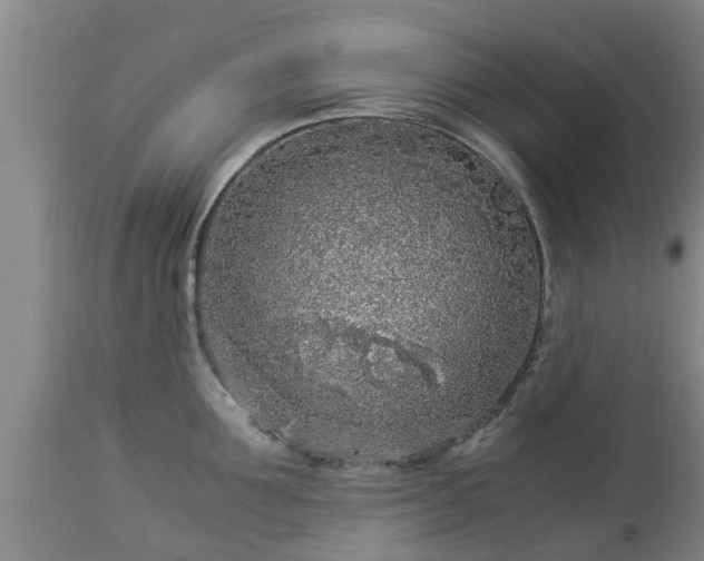 X0000112880907200908281634