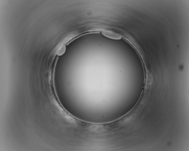 X0000112880909200908281634