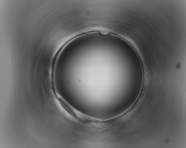 X0000112880910200908281634