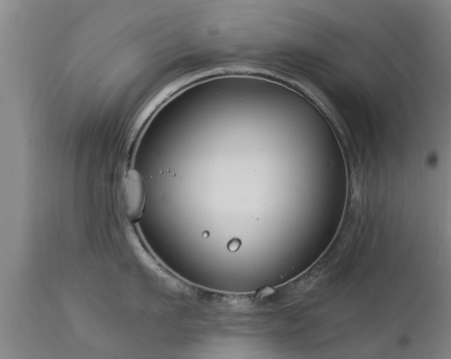 X0000112880911200908281634