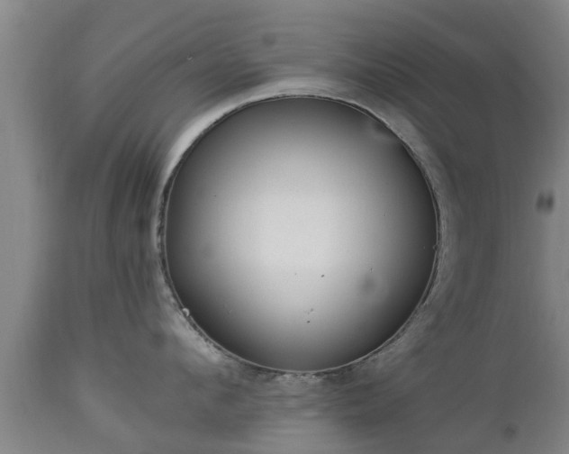 X0000112880912200908281634