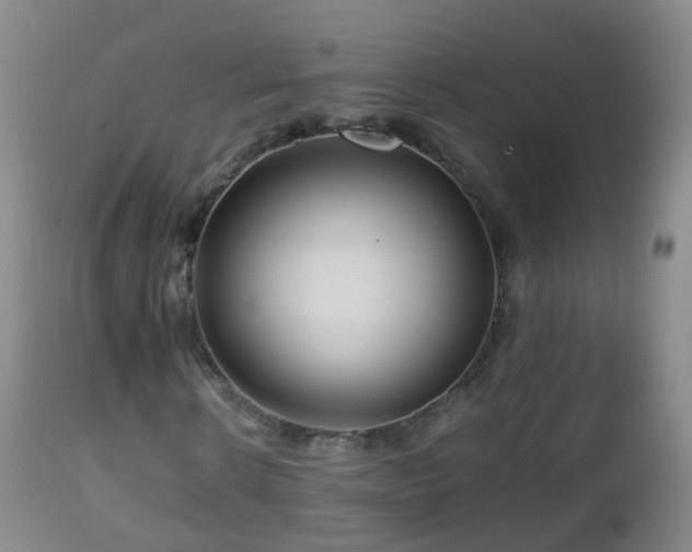 X0000112880914200908281633