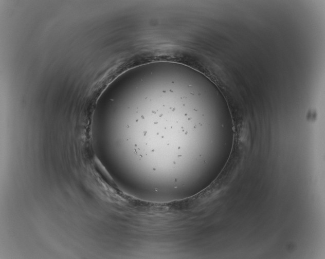 X0000112880916200908281633
