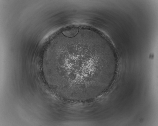 X0000112880919200908281633