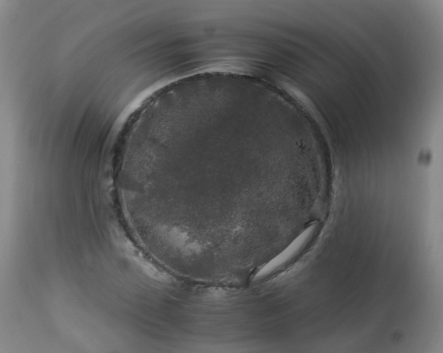 X0000112880923200908281634