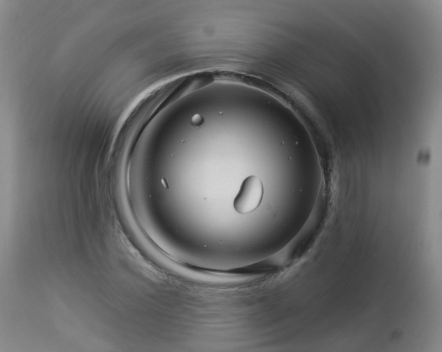 X0000112880924200908281634