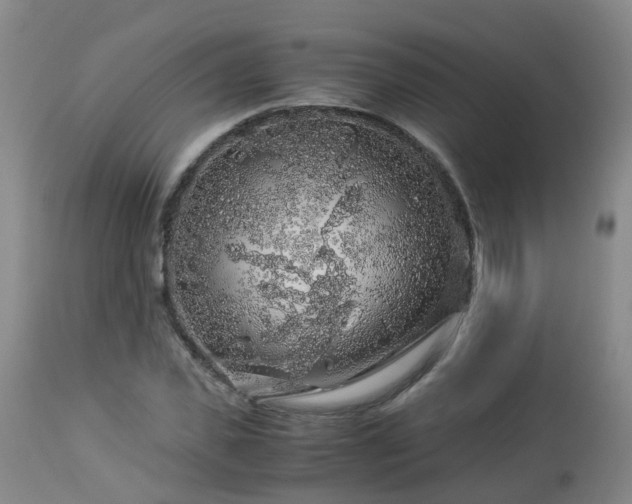 X0000112880925200908281634