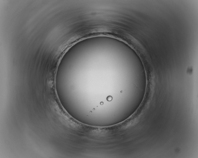 X0000112880929200908281634