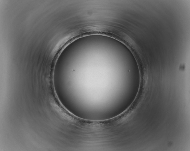 X0000112880930200908281634