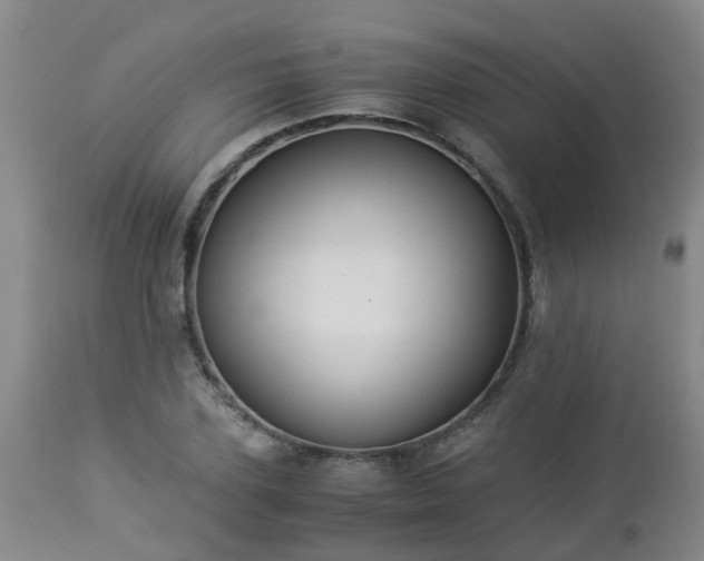 X0000112880931200908281634