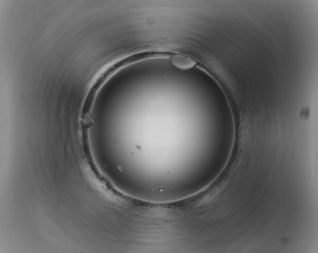 X0000112880932200908281634