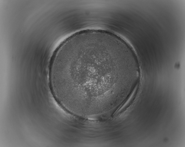 X0000112880935200908281634