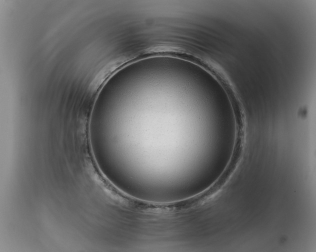 X0000112880937200908281634