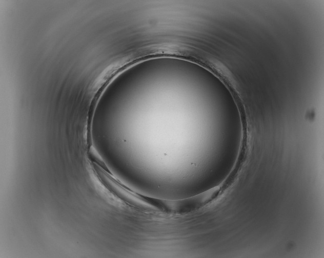 X0000112880938200908281634