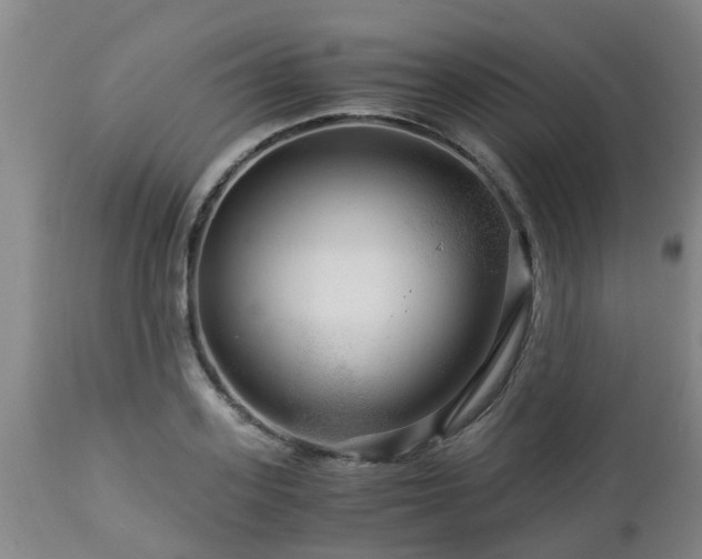 X0000112880939200908281634