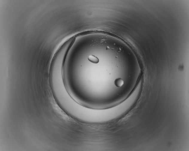 X0000112880940200908281634