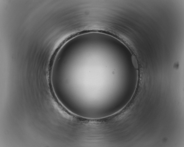 X0000112880942200908281634