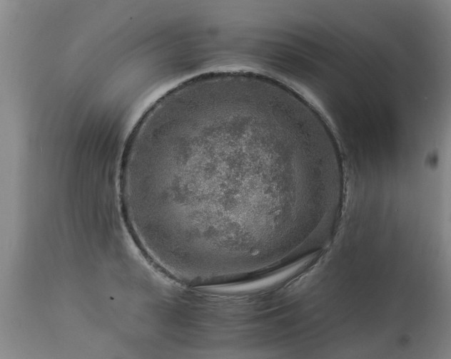 X0000112880943200908281634