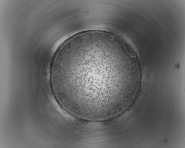 X0000112880944200908281634