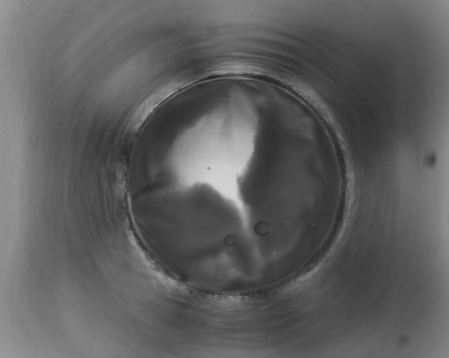 X0000112880945200908281634